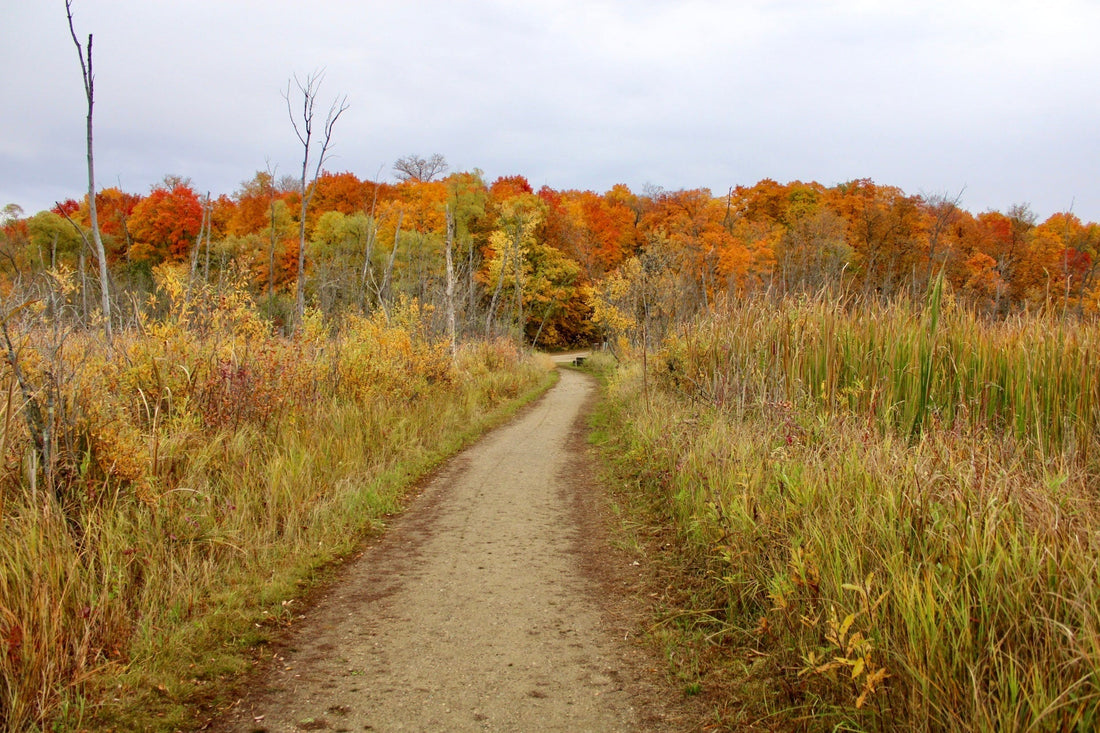 Wind, Color, and Altitude: A Fall Day Chasing Legends Across Minnesota