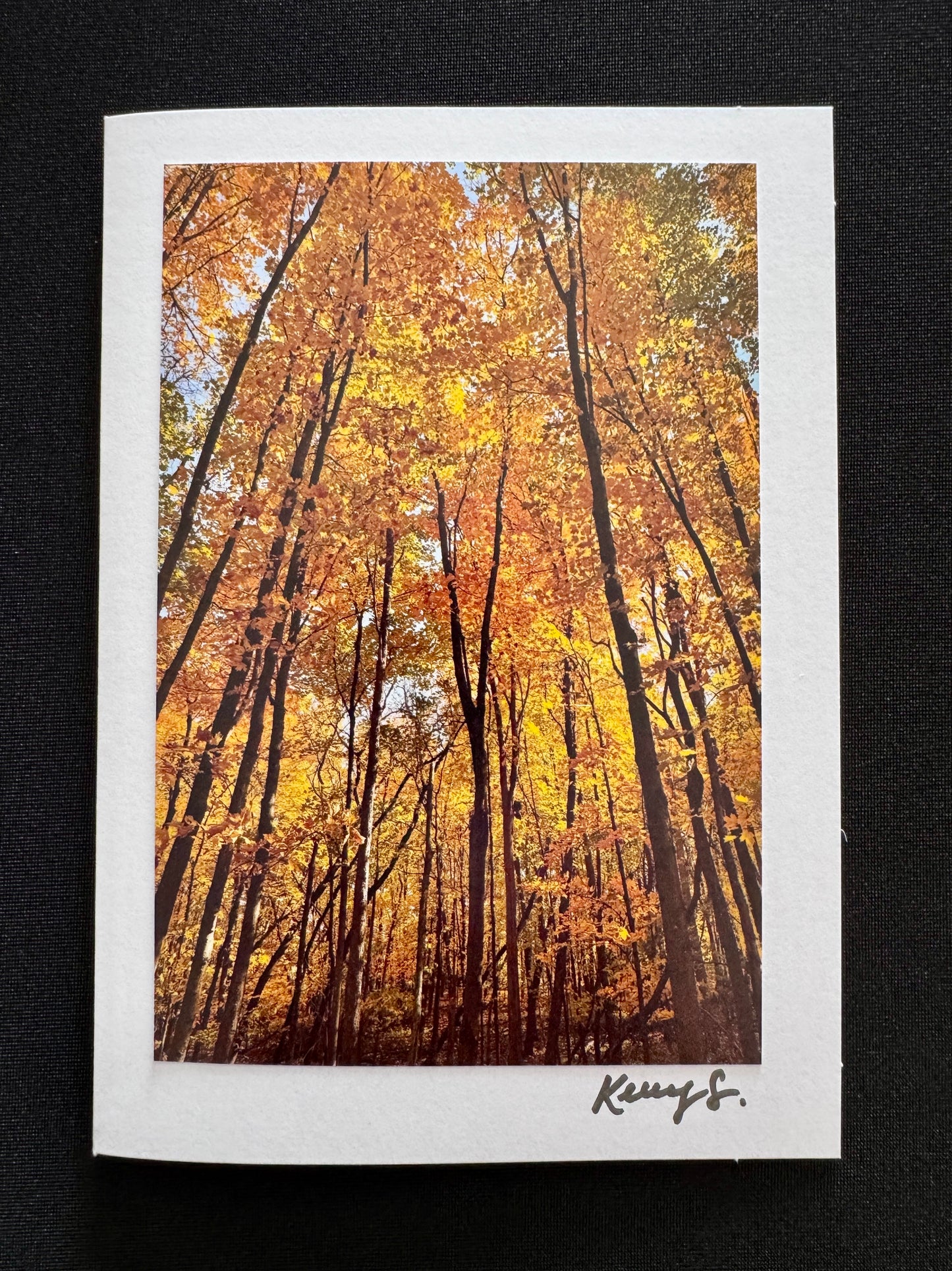 Under the Gold - Greeting Card