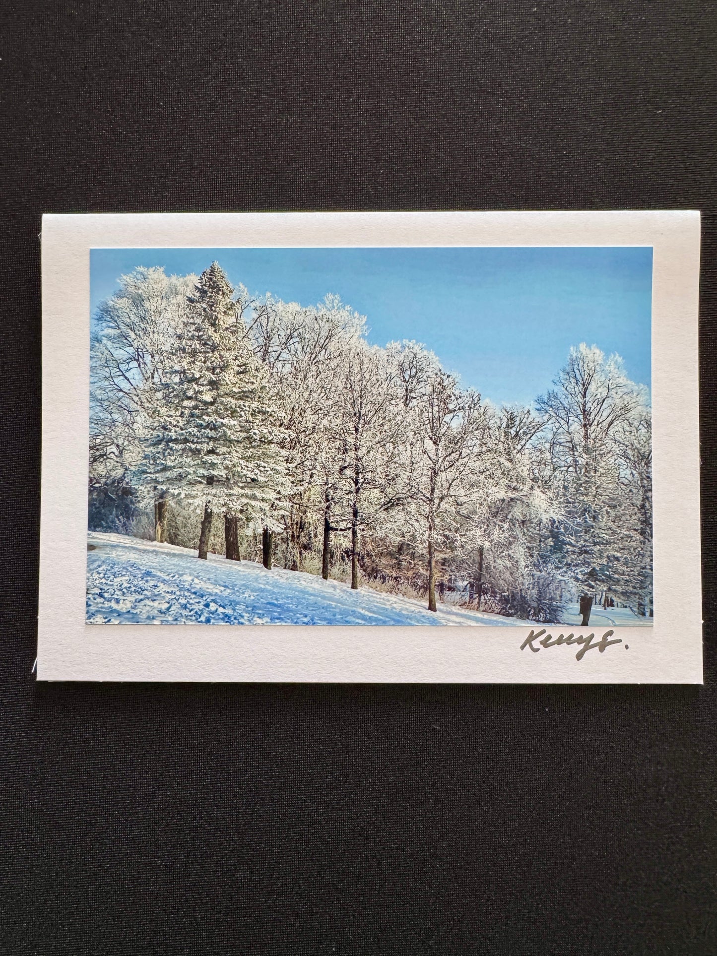Silent Woods - Greeting Card