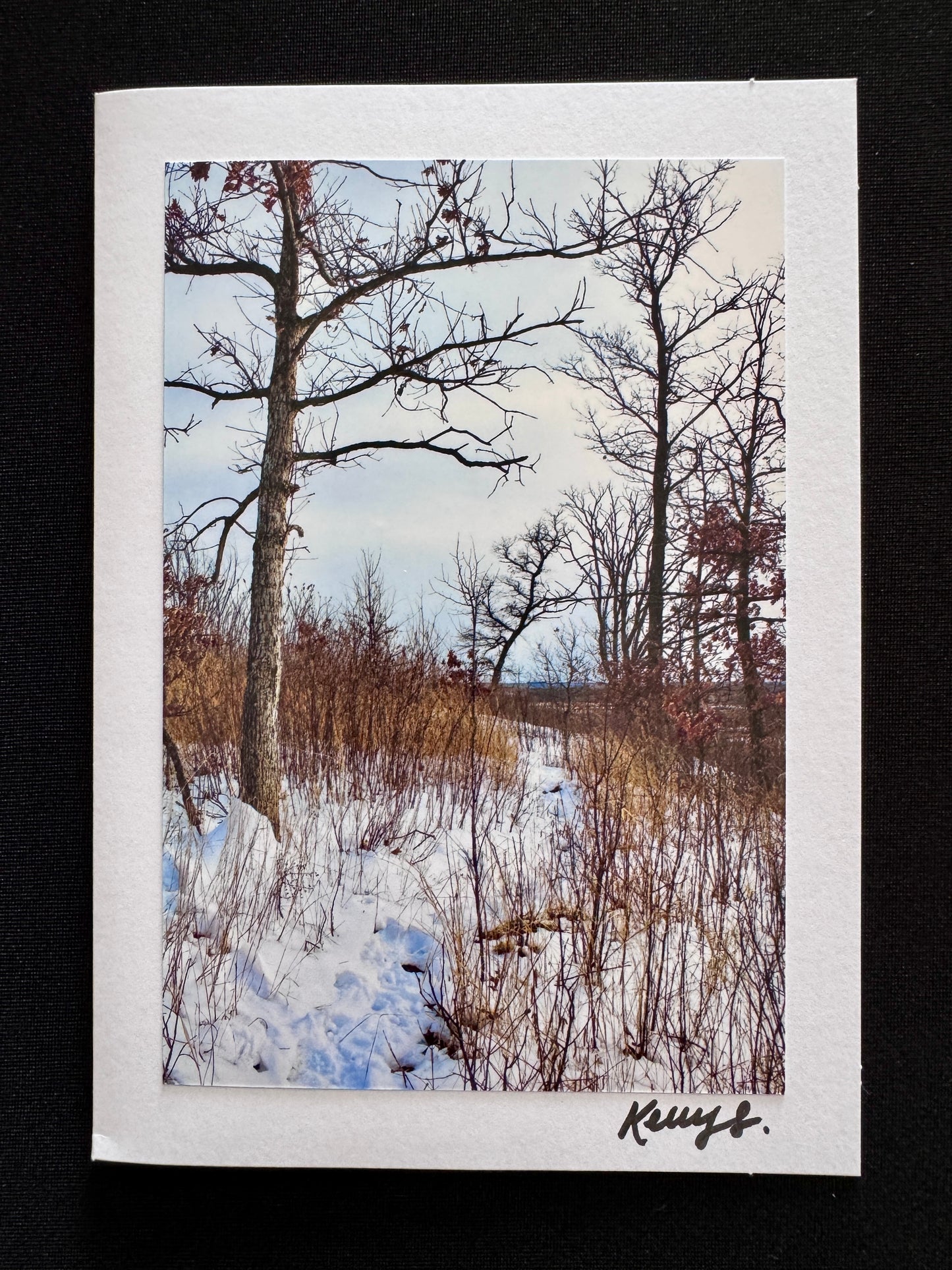Bare Solitude - Greeting Card