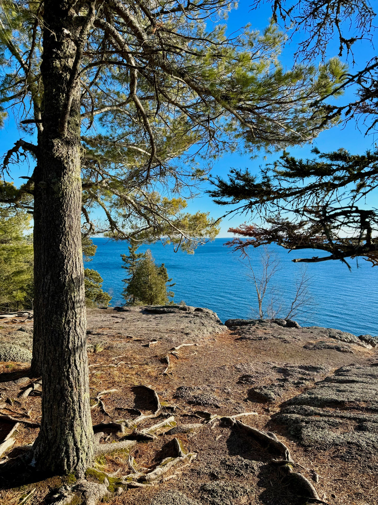 Tettegouche