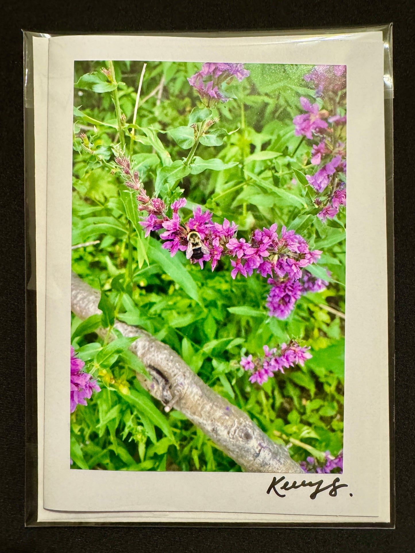 Honey Bee - Greeting Card