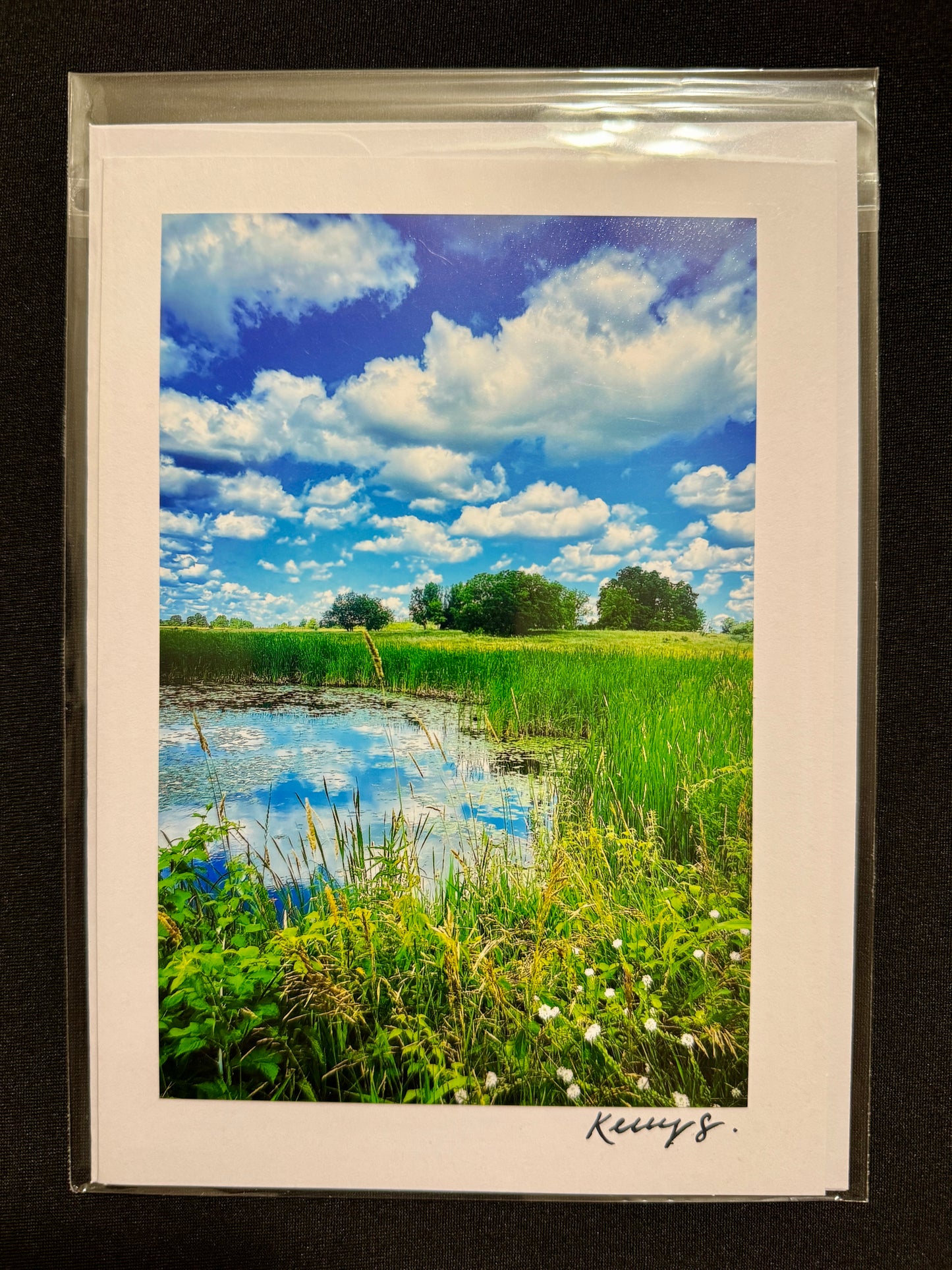 Water's Edge - Greeting Card