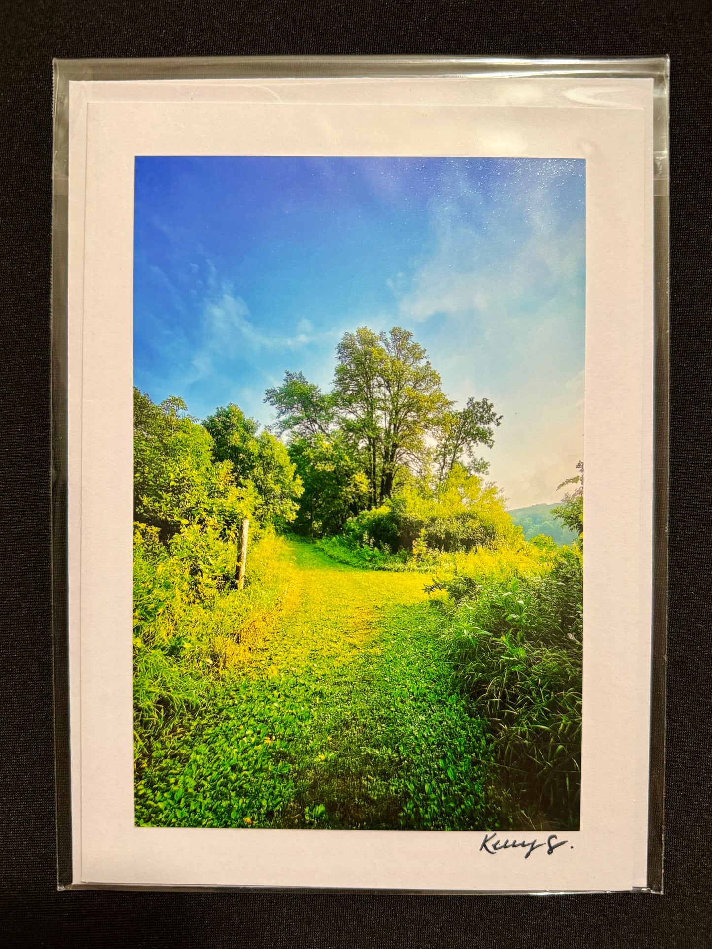 Two Paths Ahead - Greeting Card