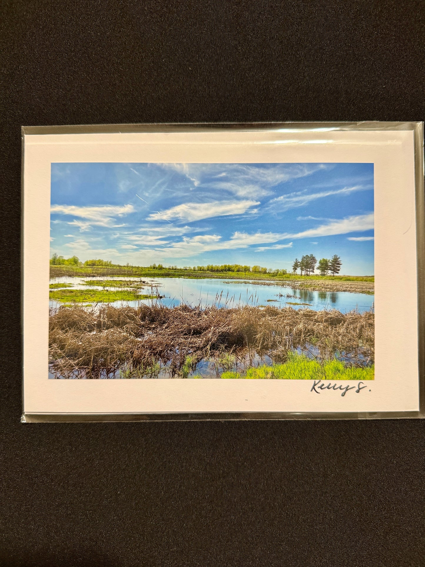 Marsh Views - Greeting Card