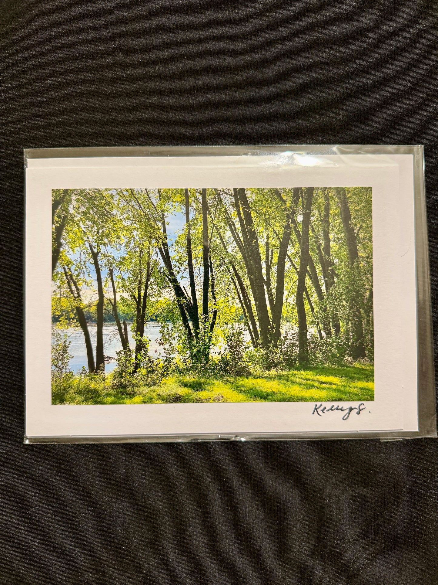 I'm Looking Through You - Greeting Card