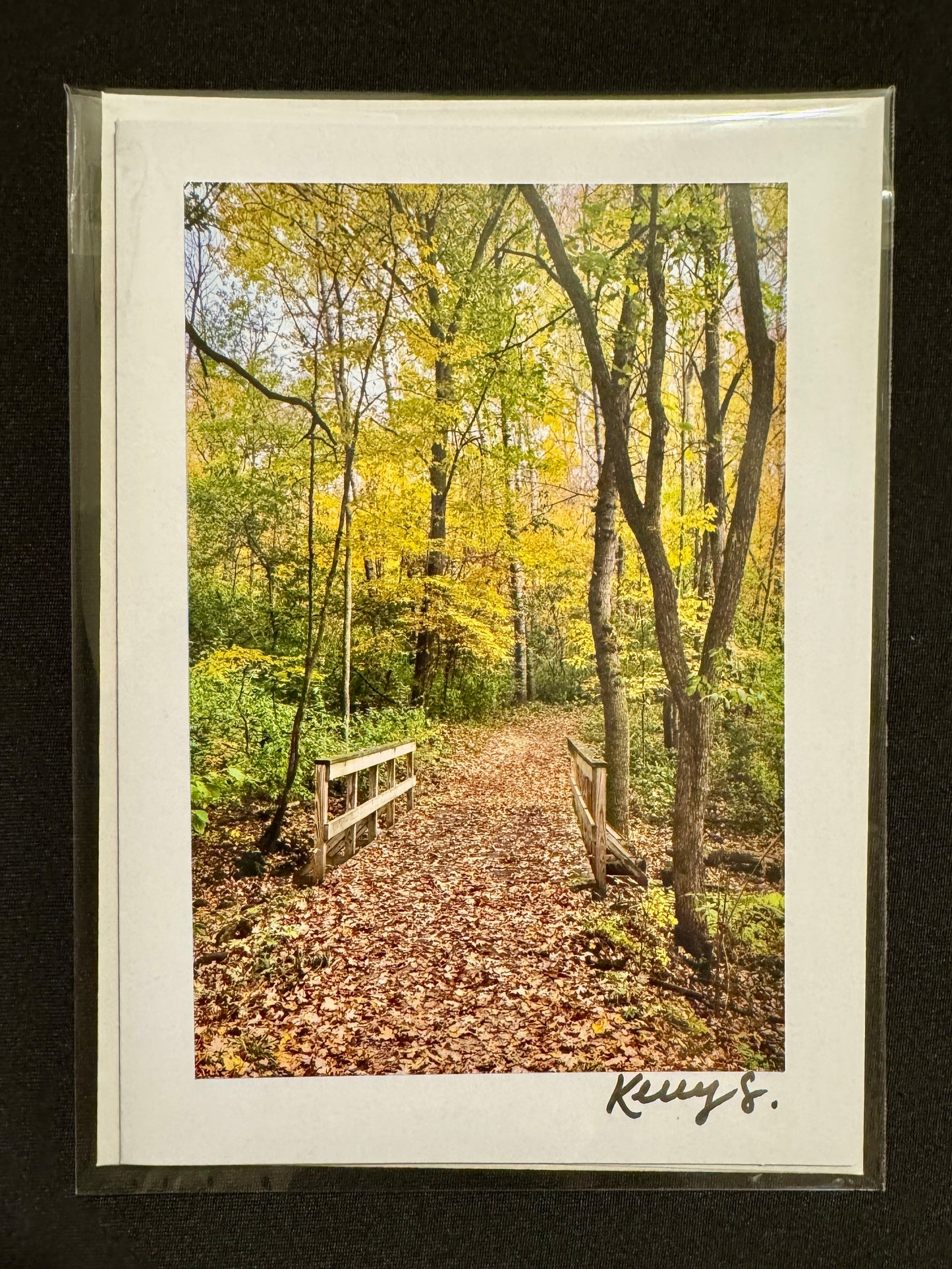 Pretty Scene - Greeting Card