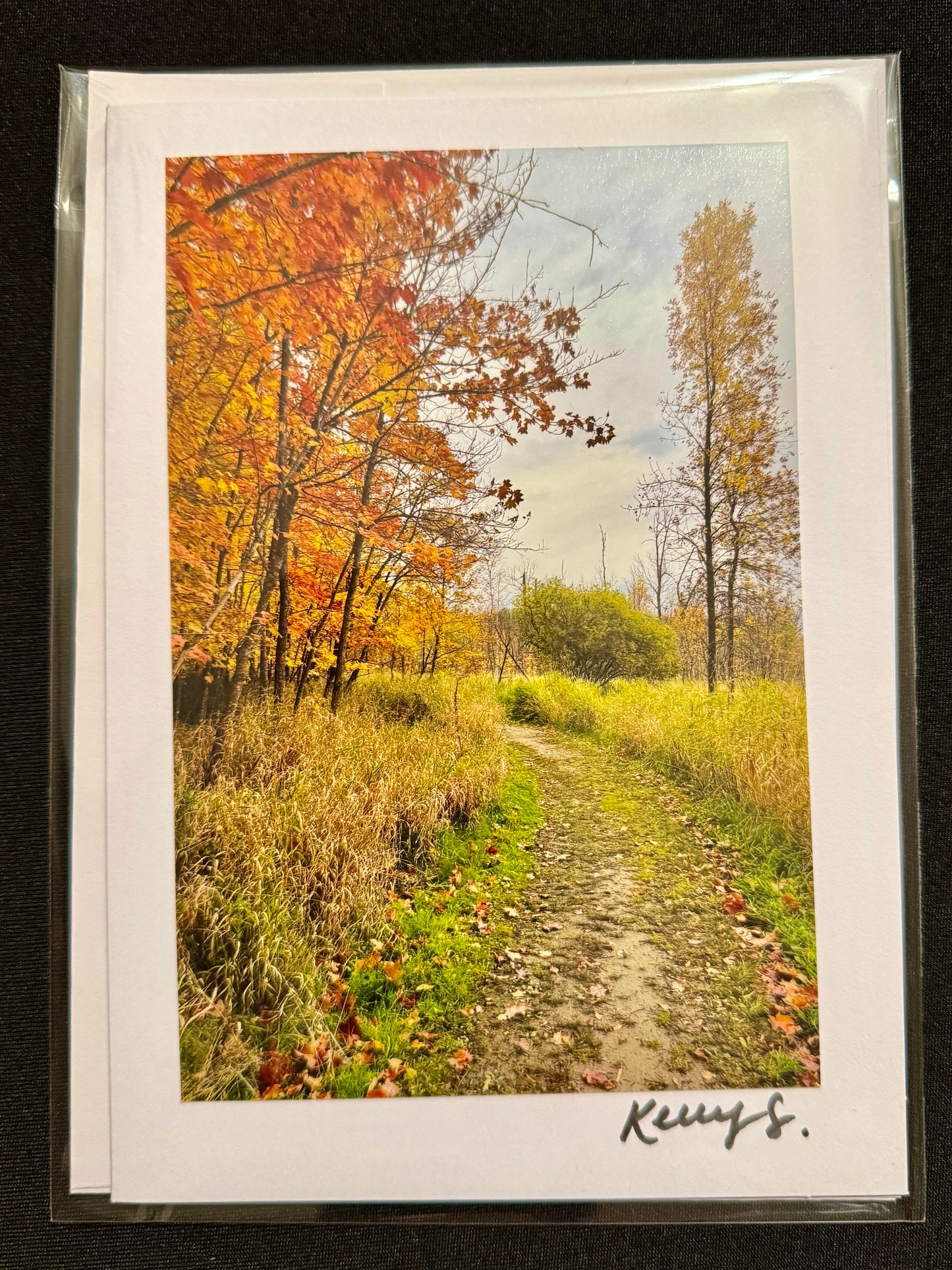 Lake Carlos State Park - Greeting Card