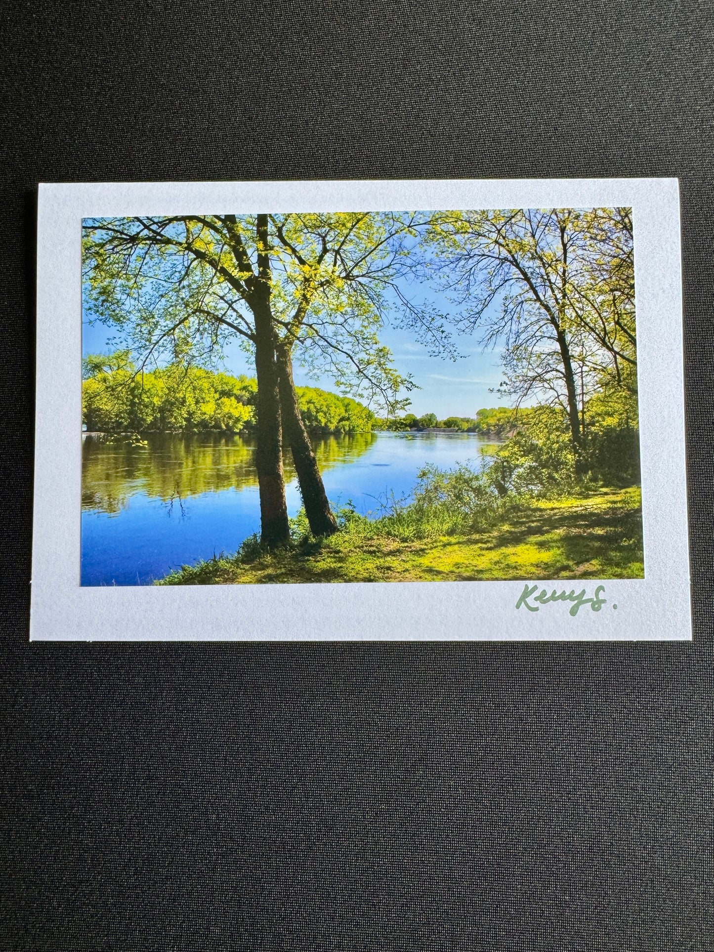 Mississippi Views - Greeting Card
