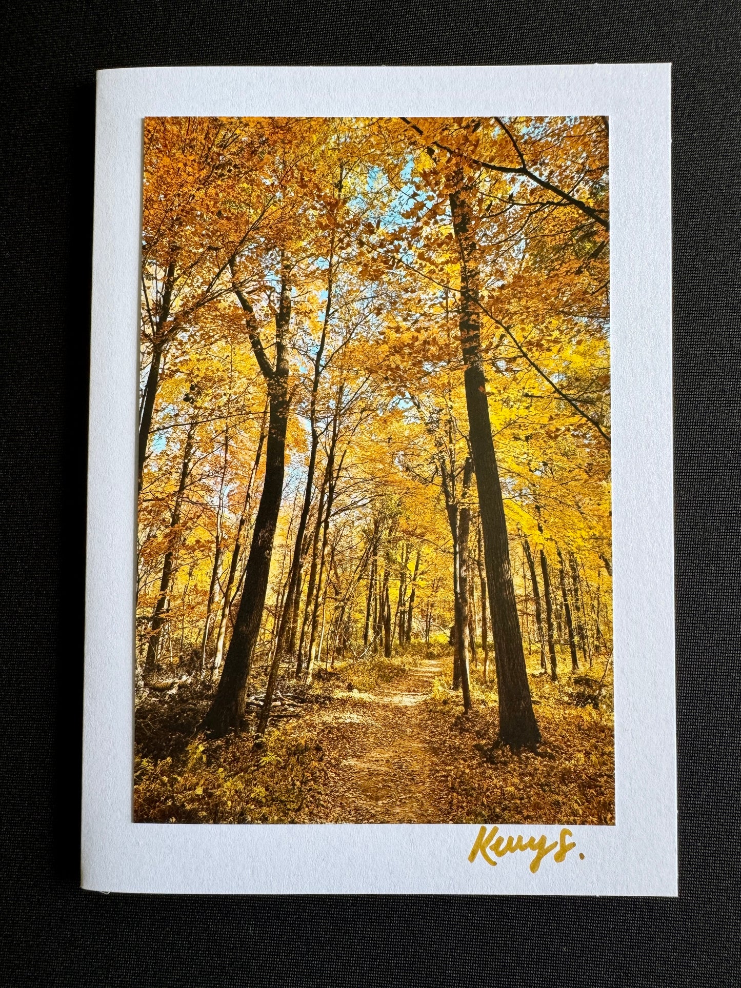 Golden Treetops - Greeting Card