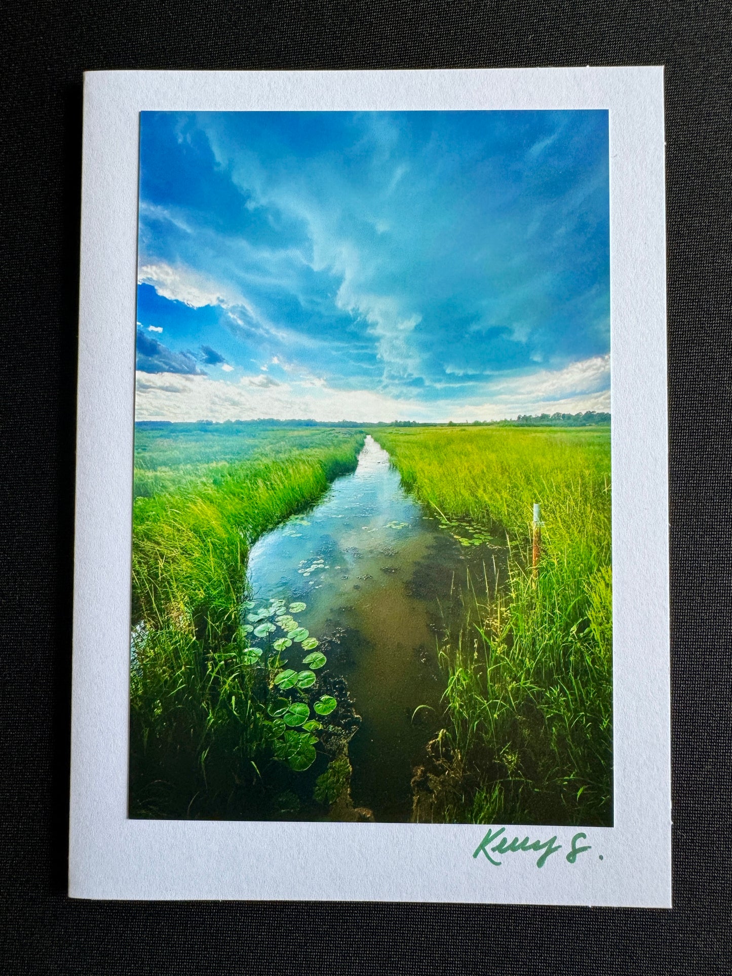 Stormy Creek - Greeting Card