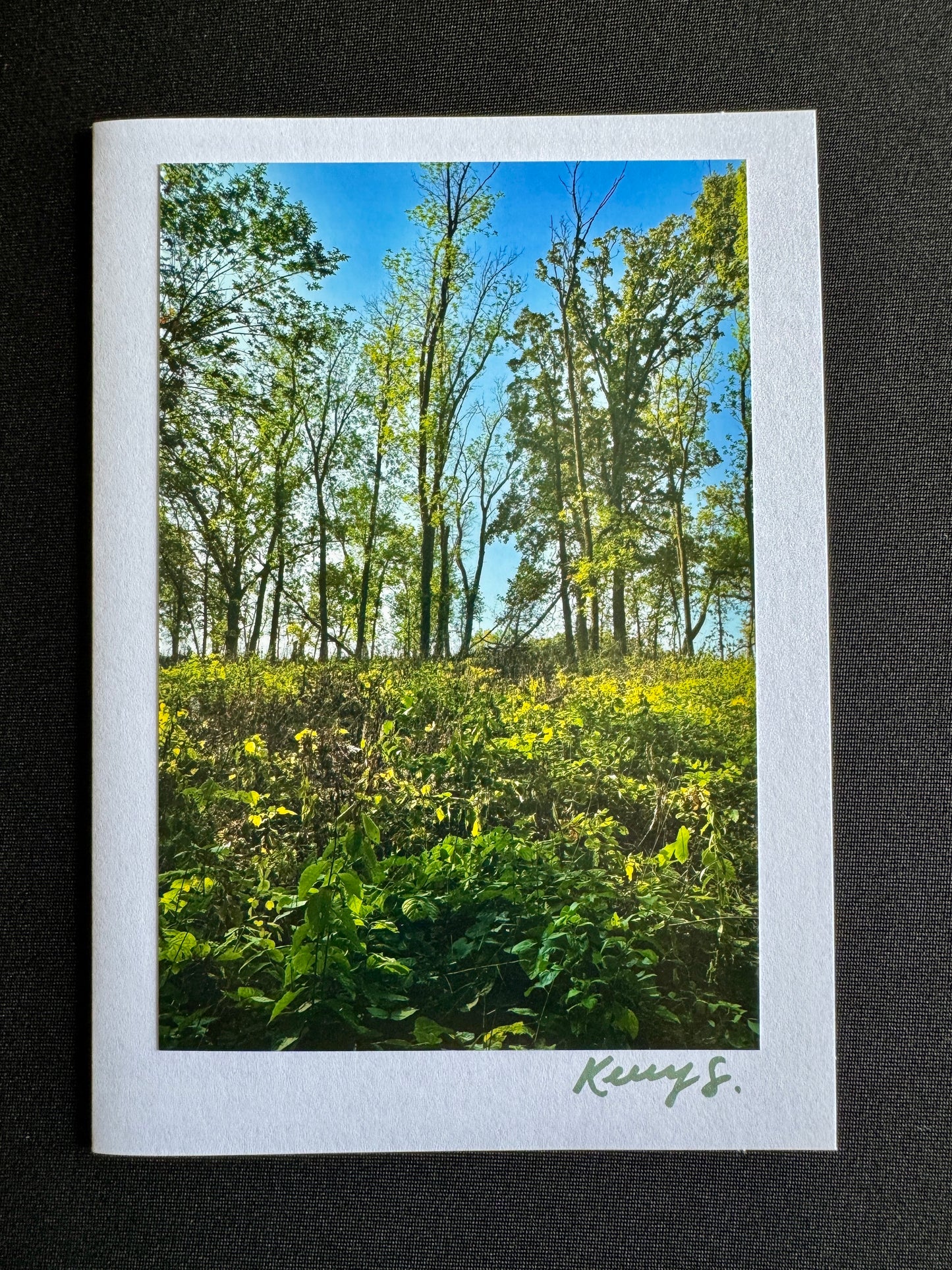 Cool Morning Views - Greeting Card