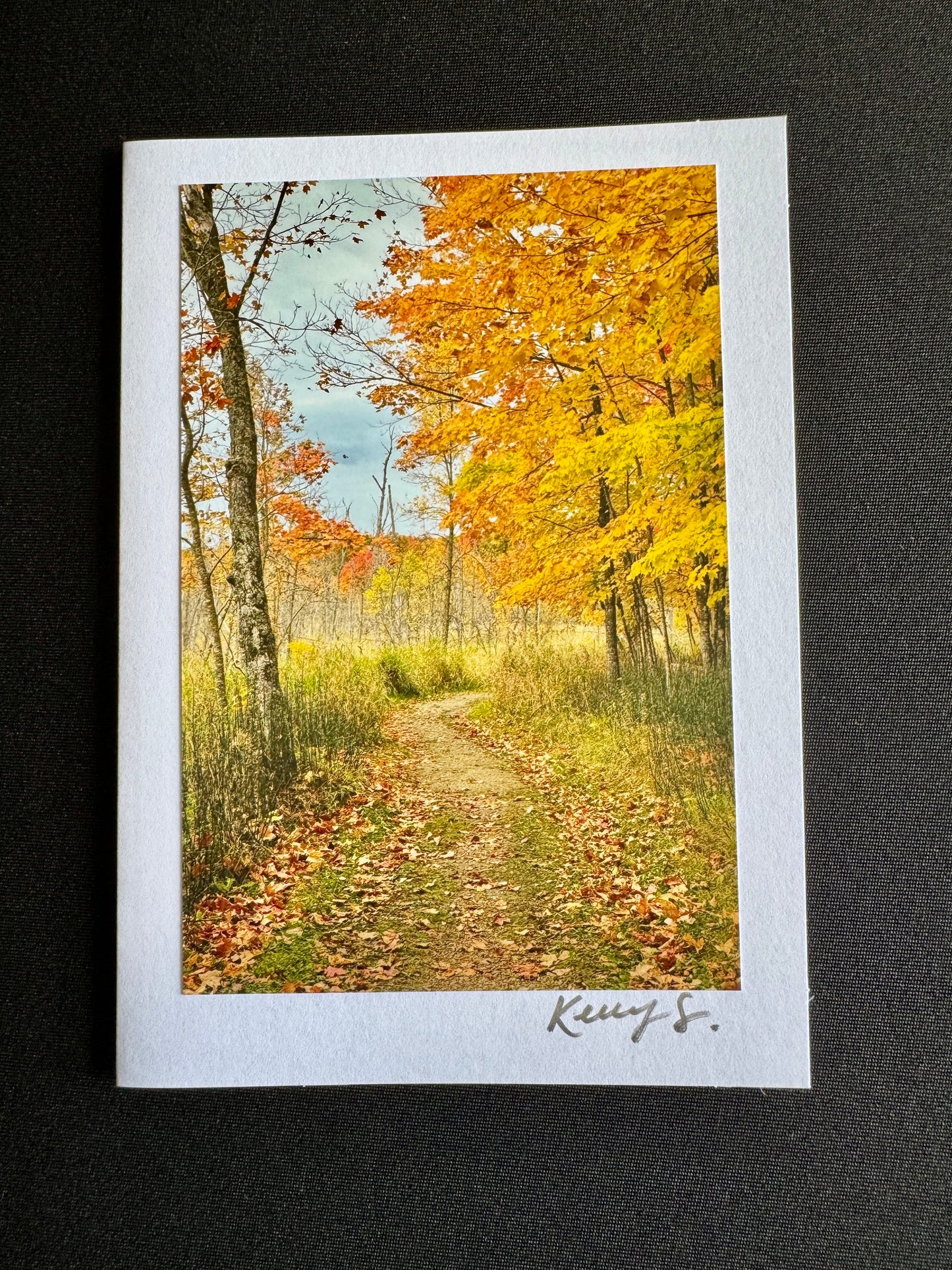 Autumn Delight - Greeting Card