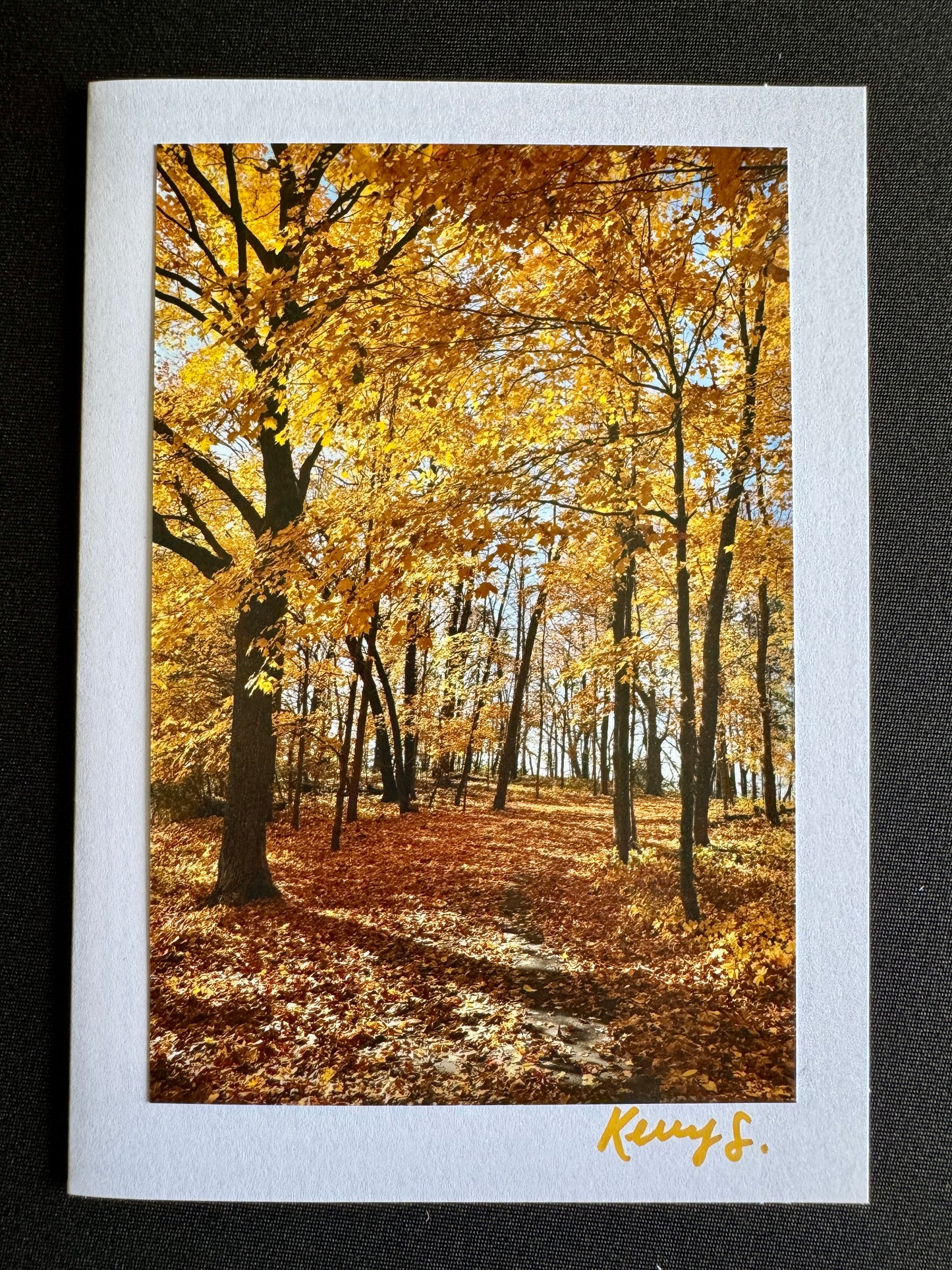 Secret Spots - Greeting Card