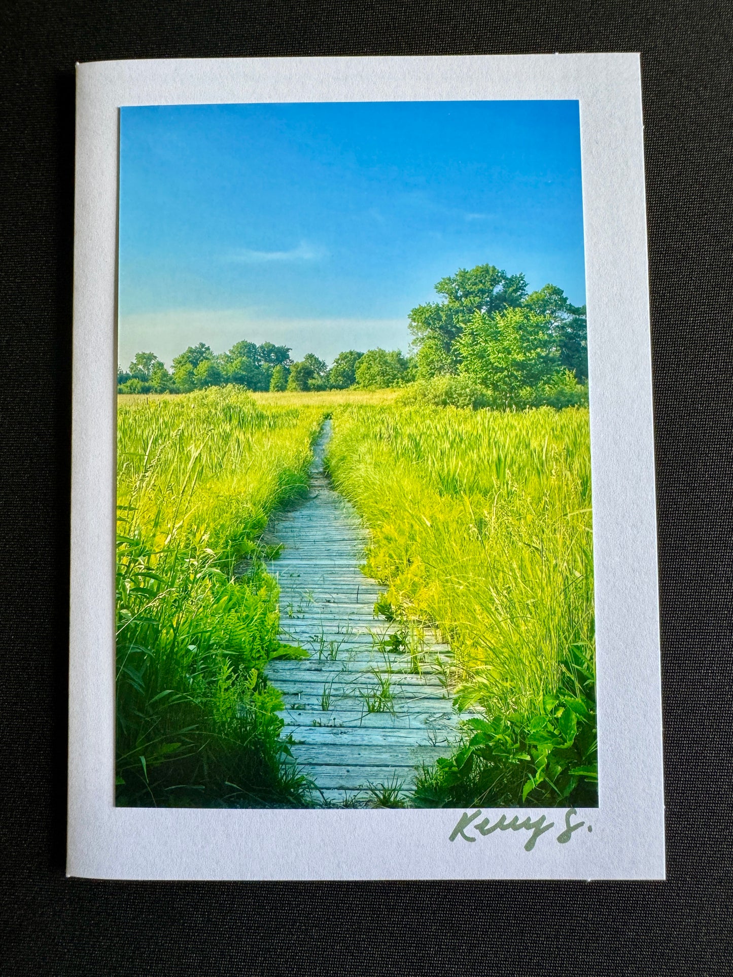 Boardwalk - Greeting Card