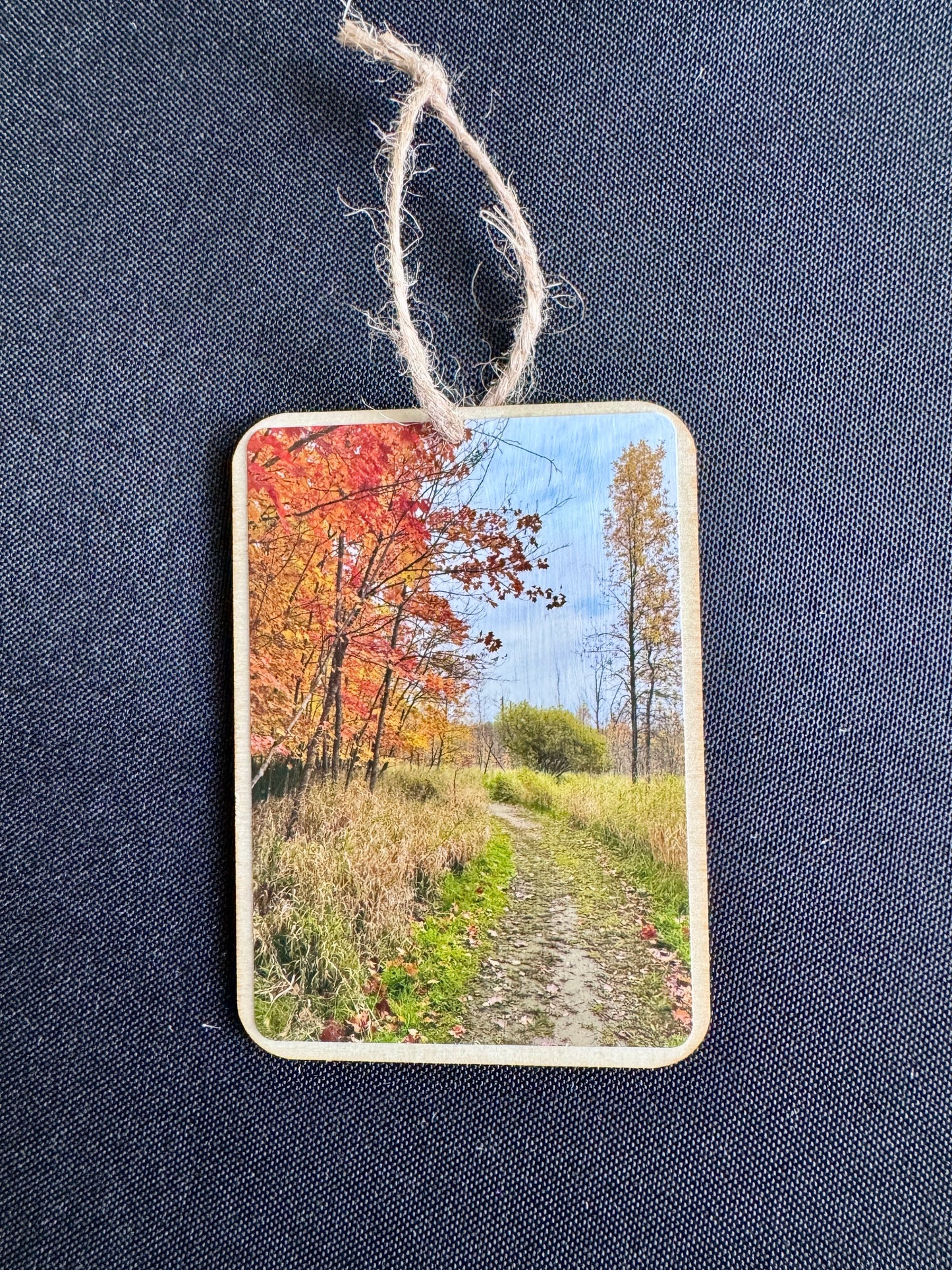Lake Carlos State Park - Wooden Ornament