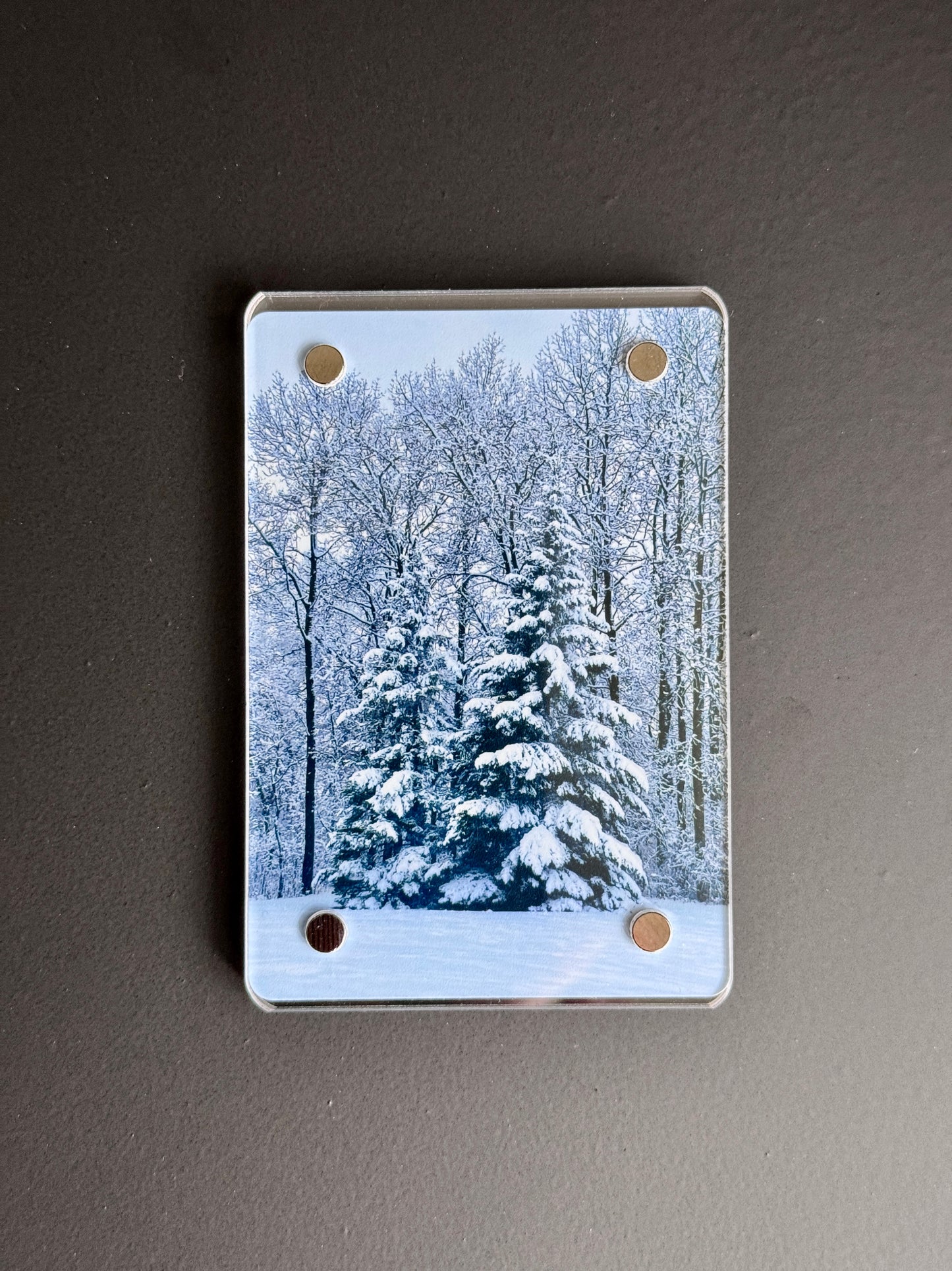 Snow Covered Trees - Magnet
