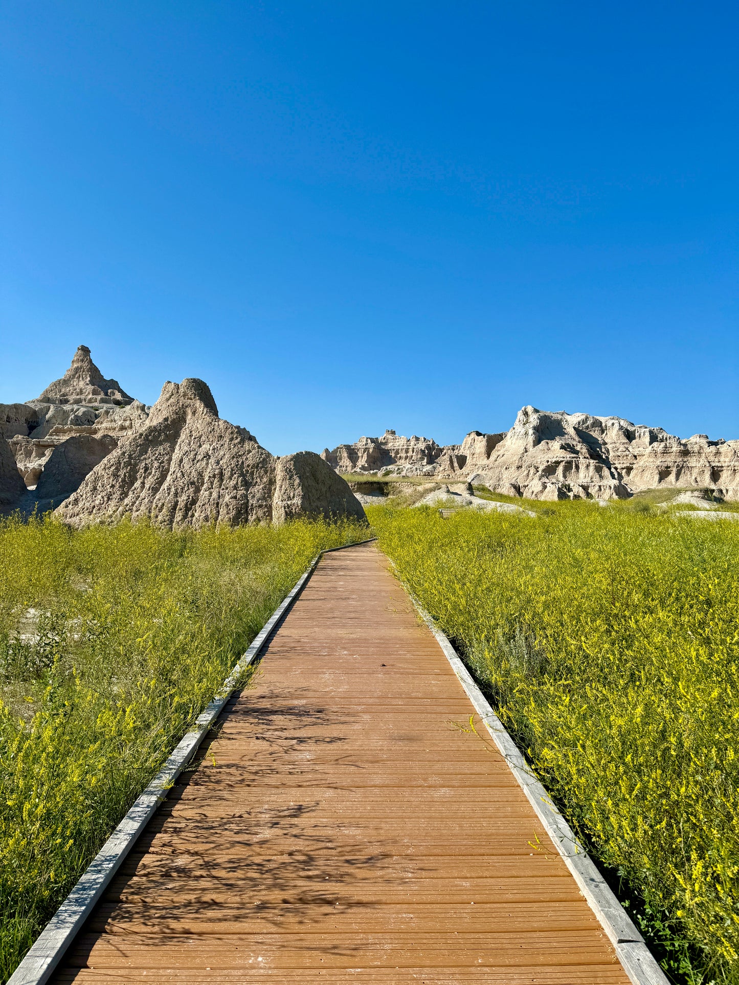 Door Trail