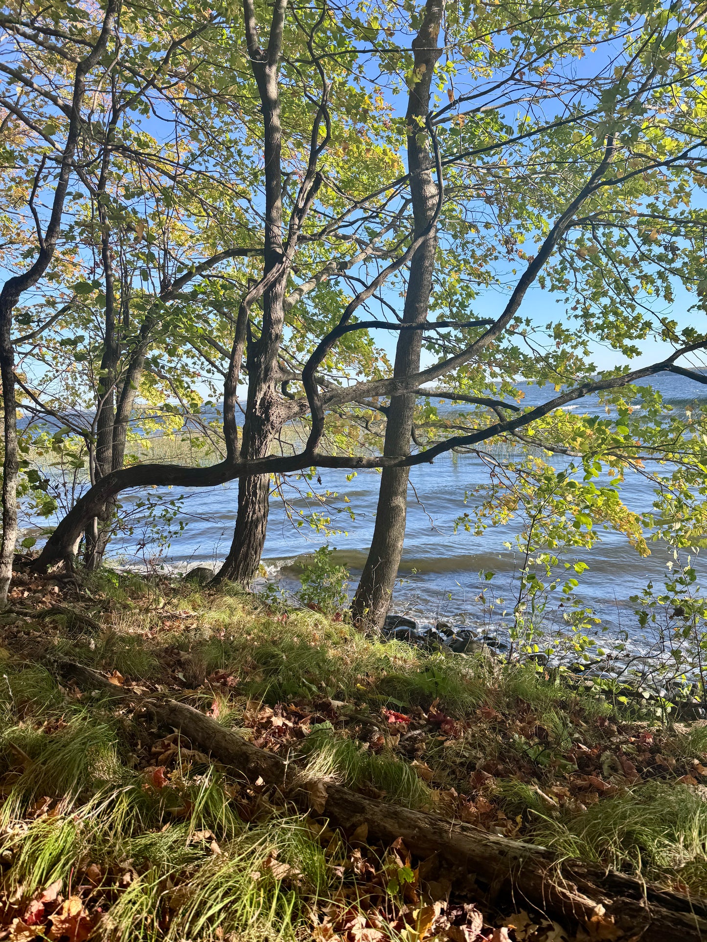 Father Hennepin State Park