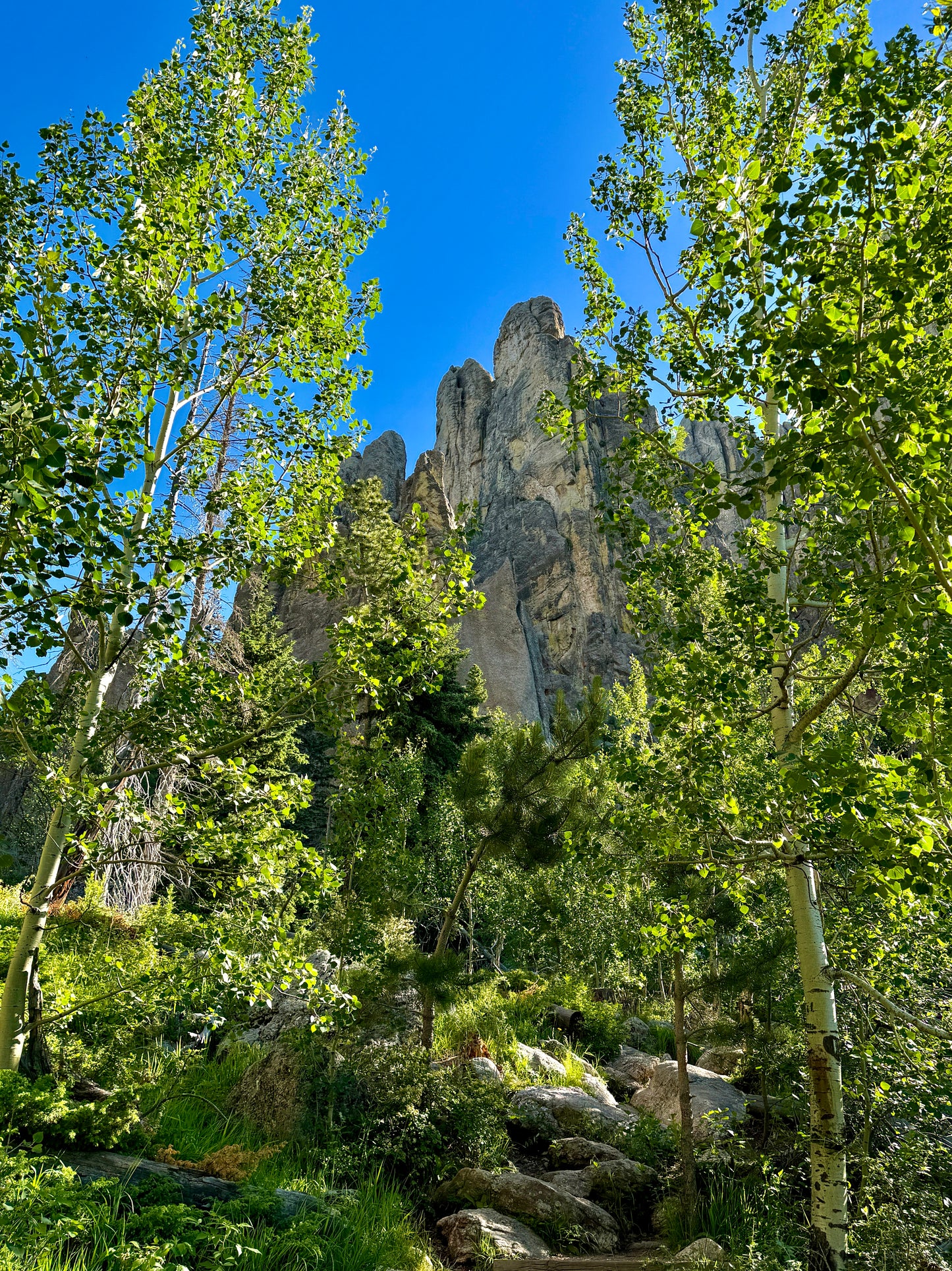Framed Spires