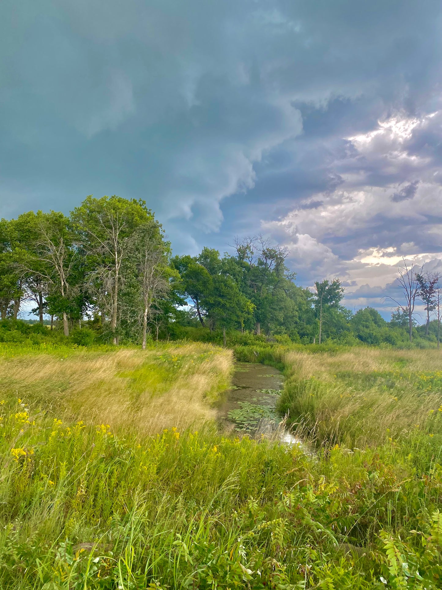 Stormy Skies