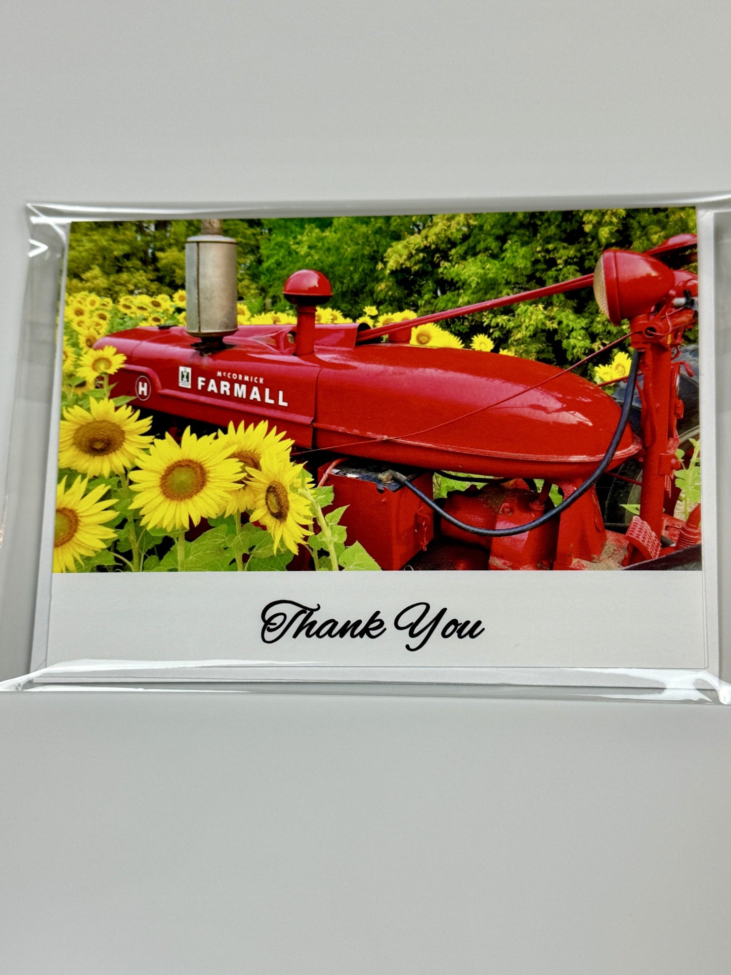 Thank You Cards - Sunflowers