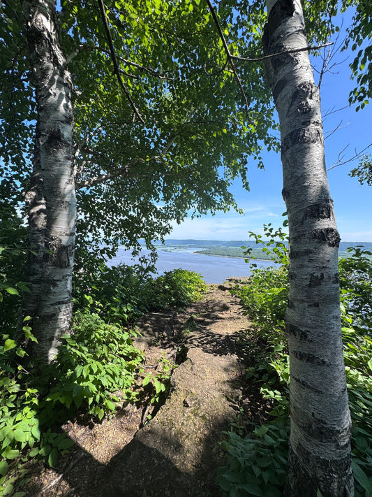 Two Parks, One Morning: Wildflower Trails and Blufftop Views in Southeastern Minnesota