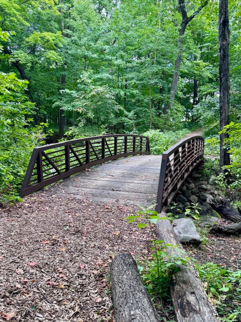 Trail Tales: Henry’s Woods