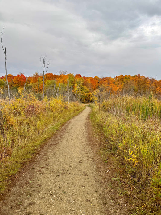 Trail Tales: Hidden Lake Trail – Lake Carlos State Park