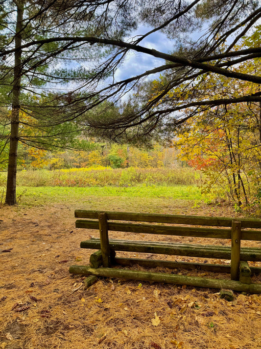 Trail Tales: Hiking Club Trail – Charles A. Lindbergh State Park