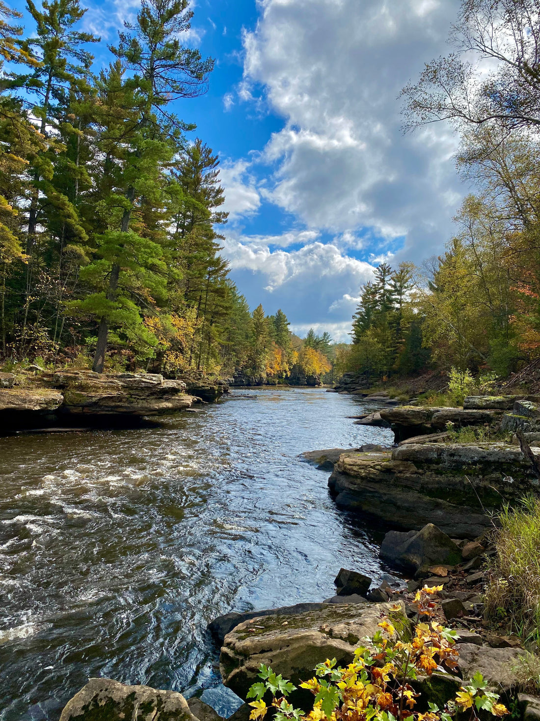 Trail Tales: Quarry Loop Trail