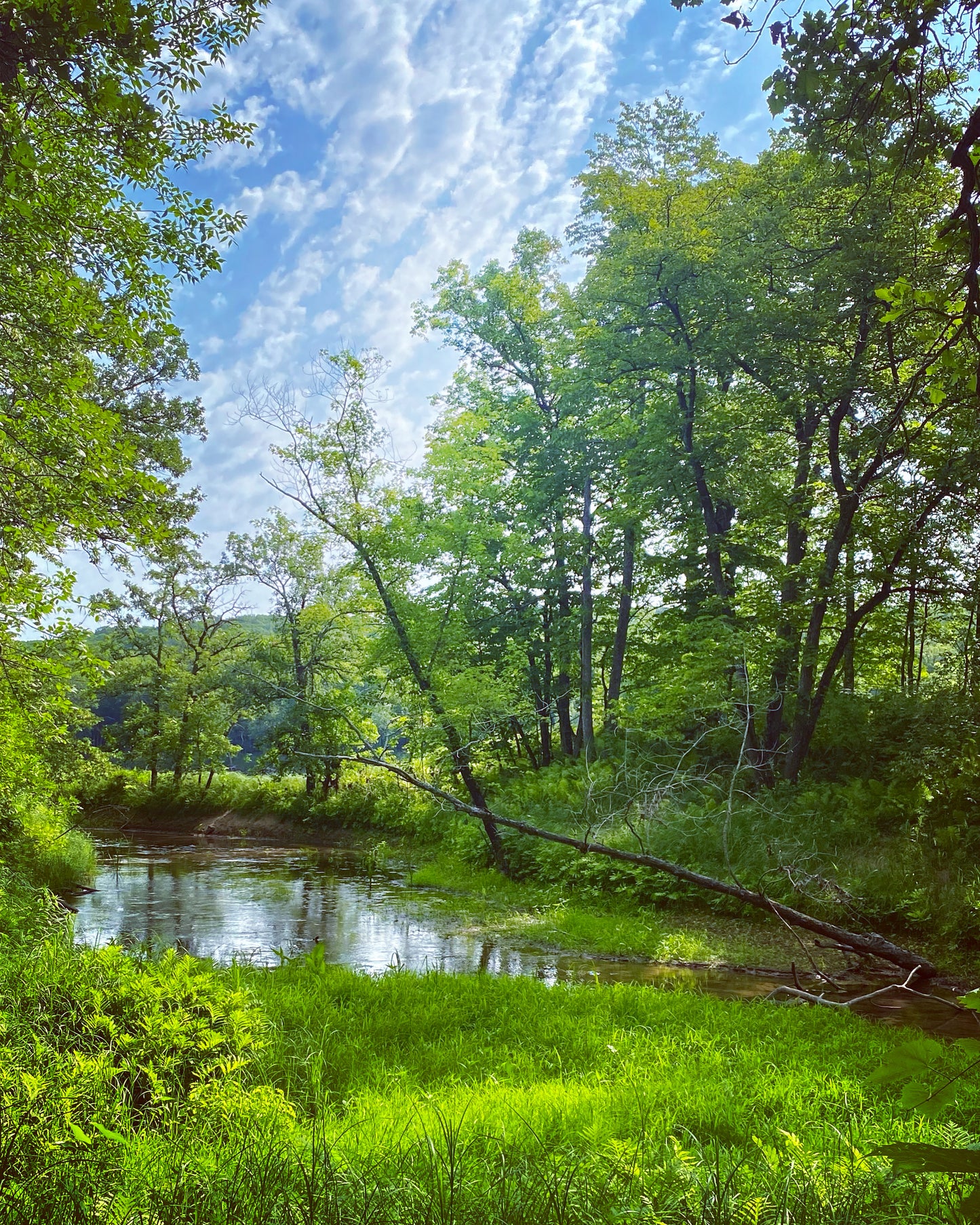 Wild River State Park