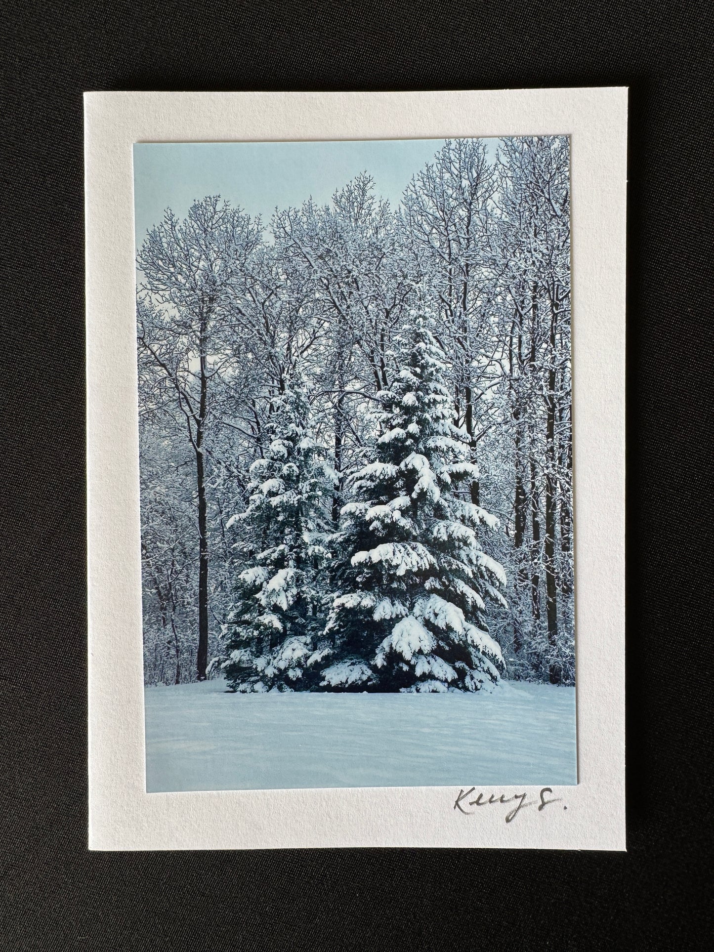 Snow Covered Trees - Greeting Card