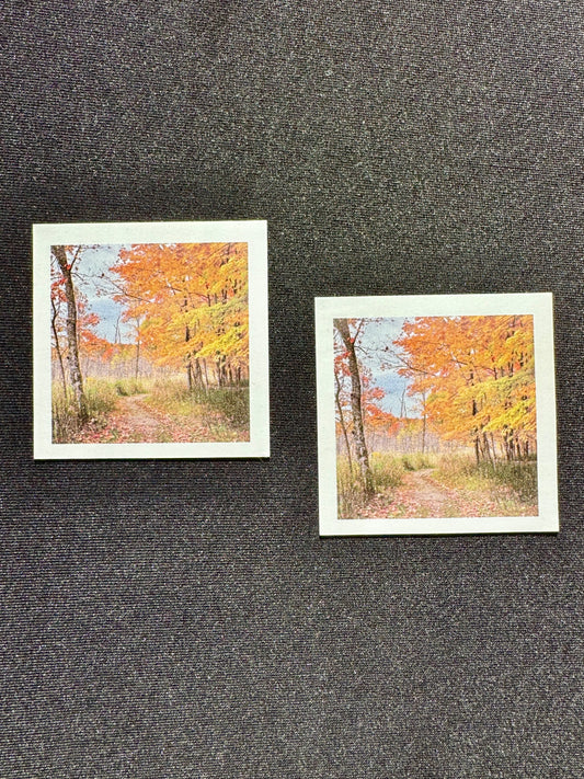 Dreamy Fall Trail - Magnet - Vintage Feel