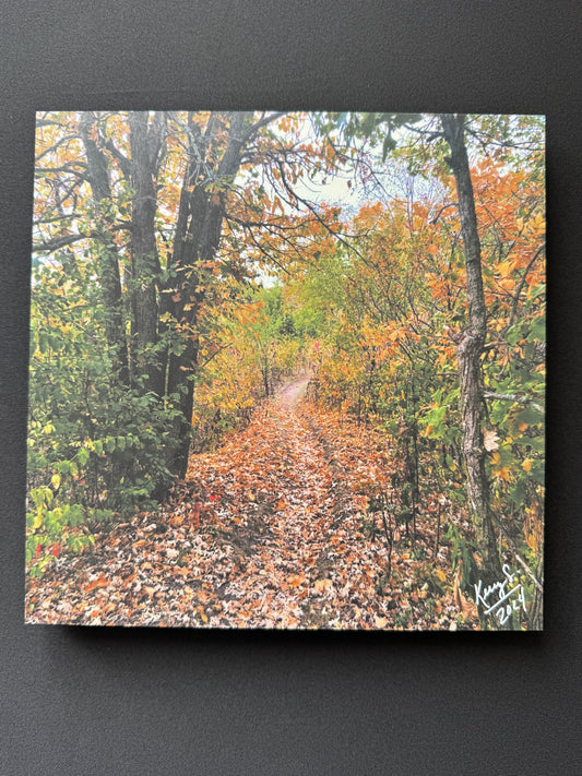 Beaver Island Trail - Photo Tile