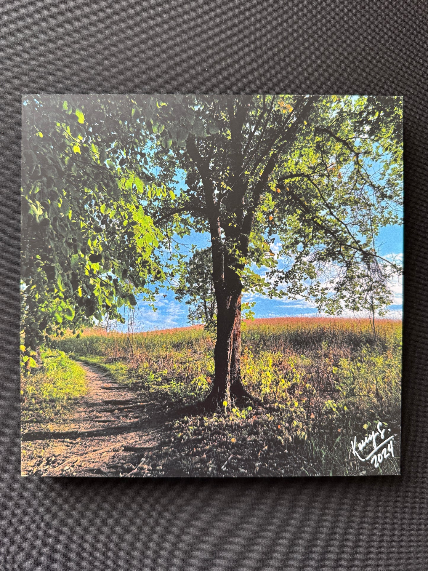 Glacial Lakes State Park - Photo Tile