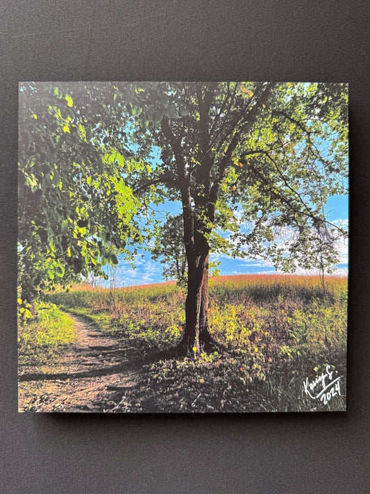 Glacial Lakes State Park - Photo Tile