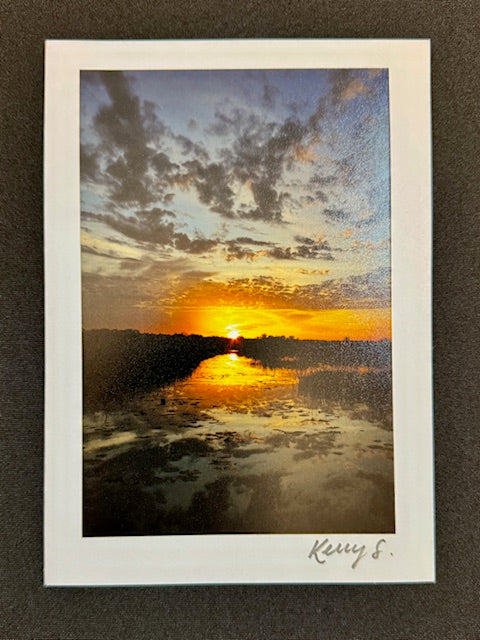 Nights in the Refuge - Greeting Card