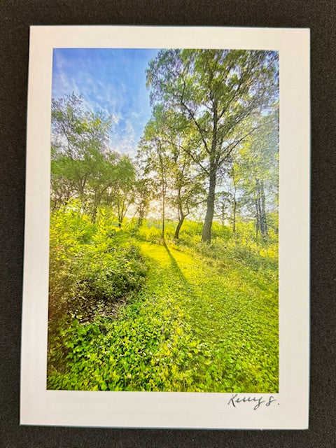 Morning Sunlight - Greeting Card
