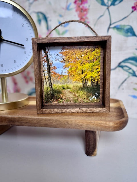 Autumn Delight - Shadowbox Frame