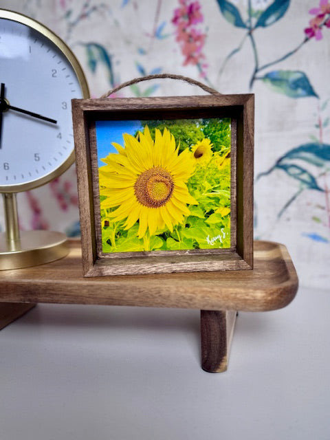 Standing Tall - Shadowbox Frame