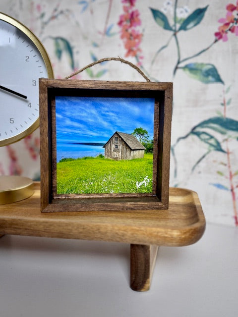 Stoney Point Shed - Shadowbox Frame