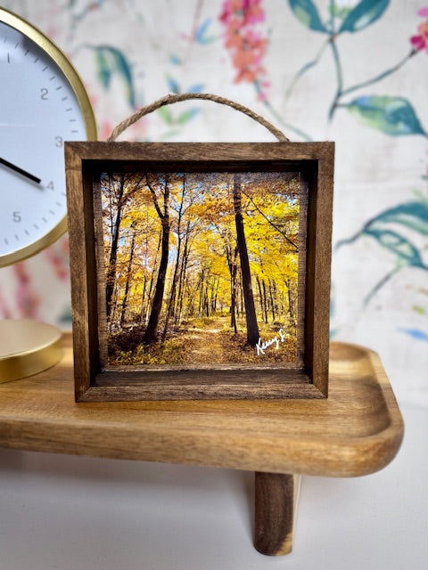 Golden Treetops - Shadowbox Frame