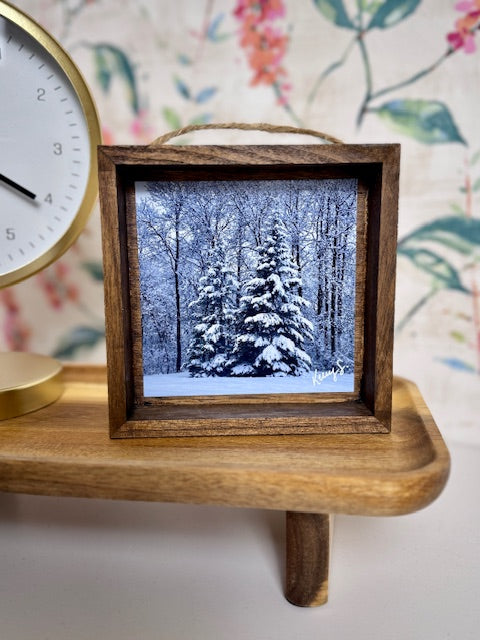 Snow Covered Trees - Shadowbox Frame