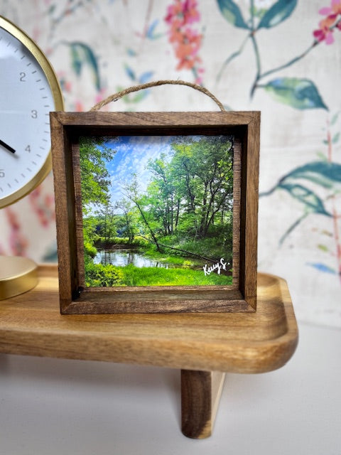 Wild River State Park - Shadowbox Frame