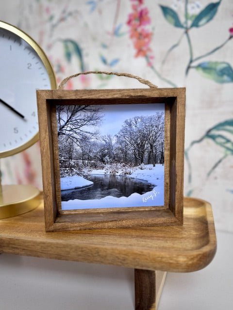Otter Creek Park - Shadowbox Frame