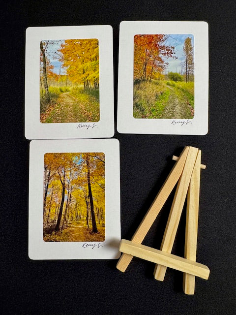 Easel Art Mini Landscape Set - Fall Scenes