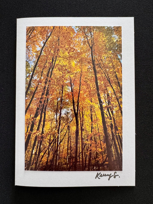 Under the Gold - Greeting Card