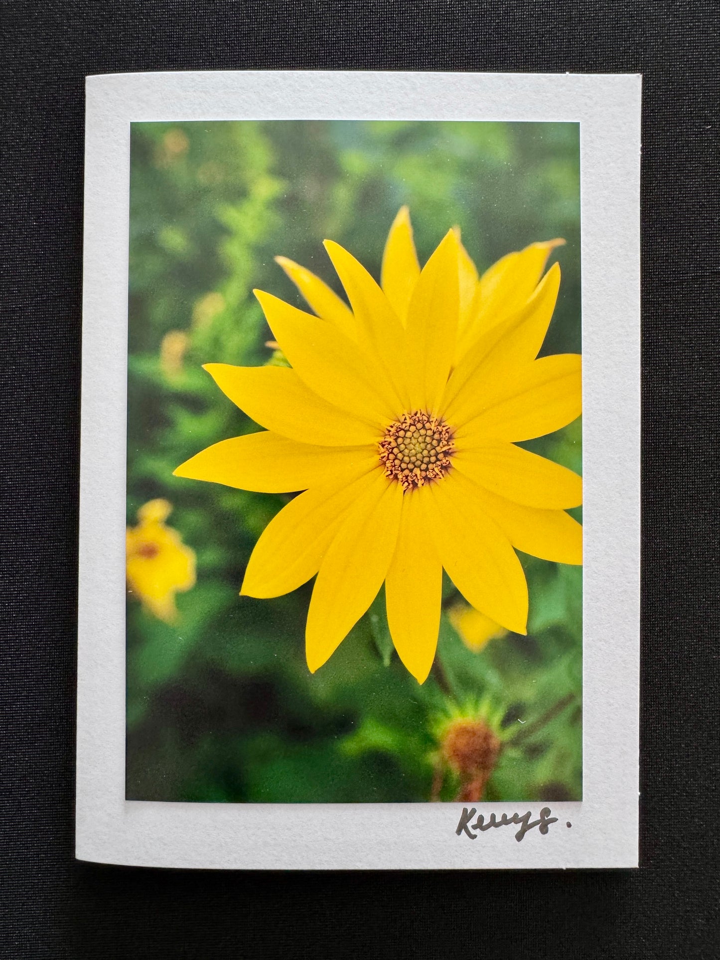 Jerusalem Artichoke - Greeting Card