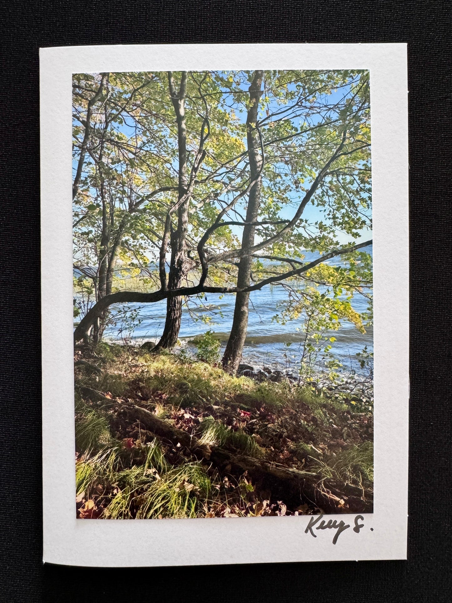 Father Hennepin State Park - Greeting Card